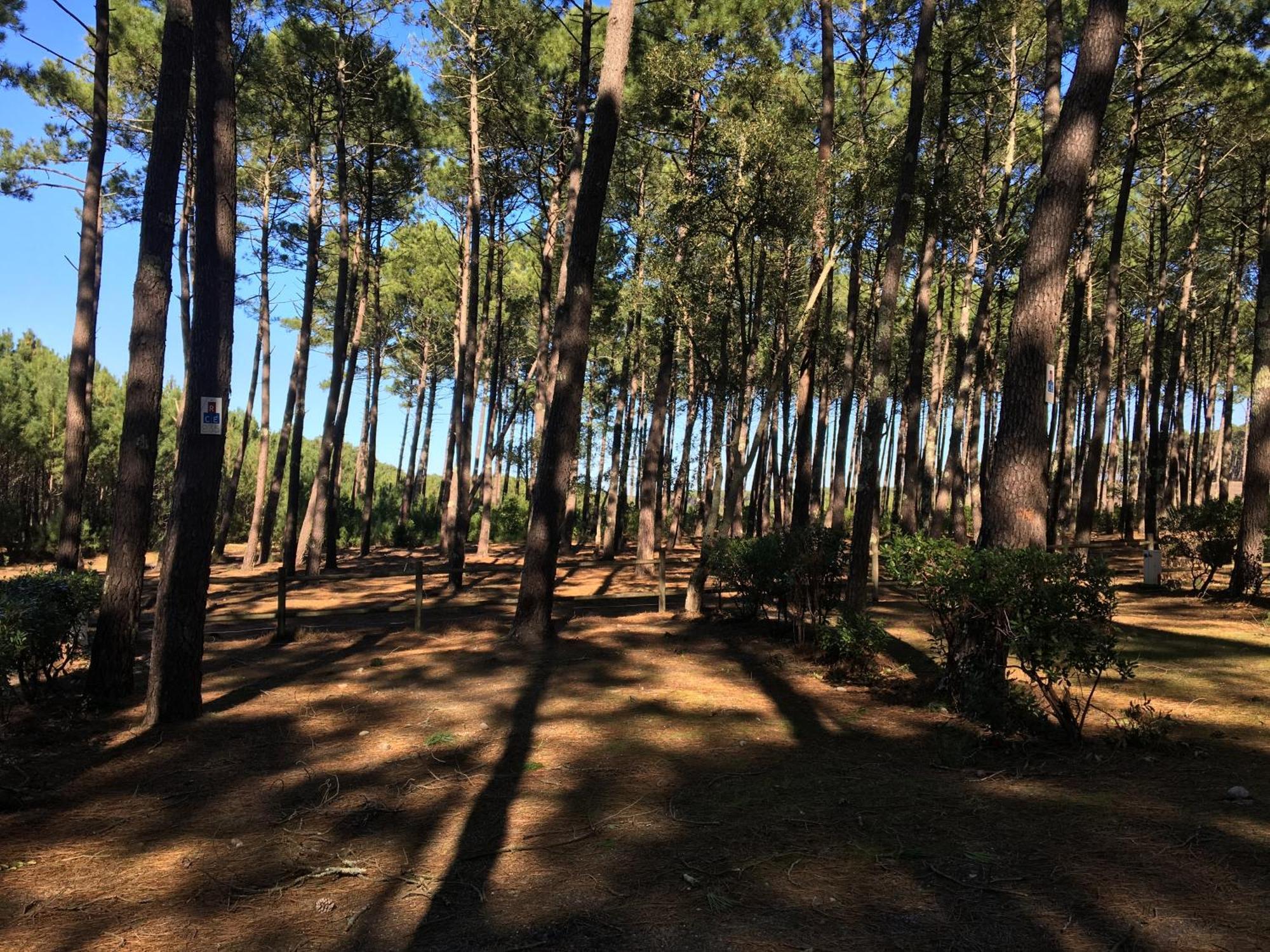 La Bergerie Des Landes Villa Lit-et-Mixe Eksteriør billede